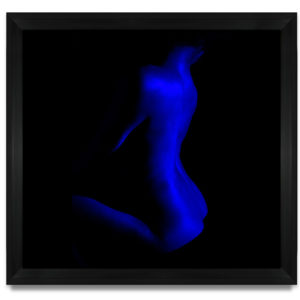 Blue Velvet - by Gregory Jacquelin